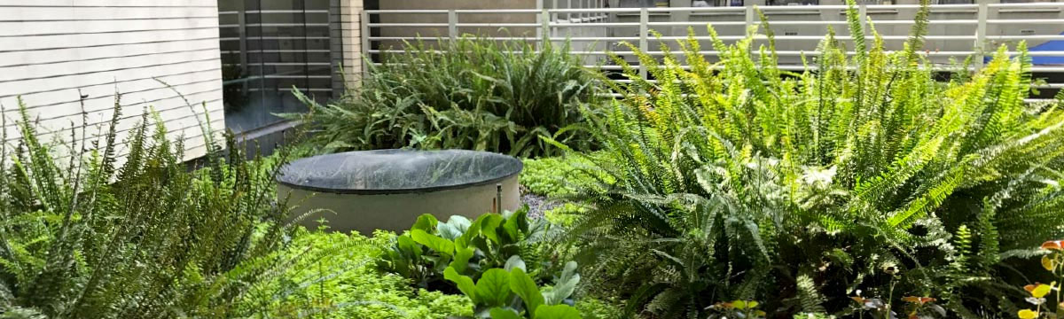 EDIFICIO CONICYT - Santiago, ChileEdificio con certificación LEED