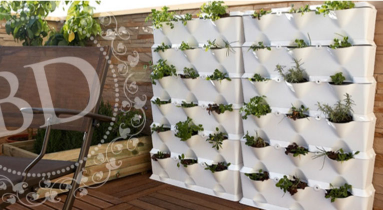 Nuevos distribuidores e instaladores MiniGarden en Concepción
