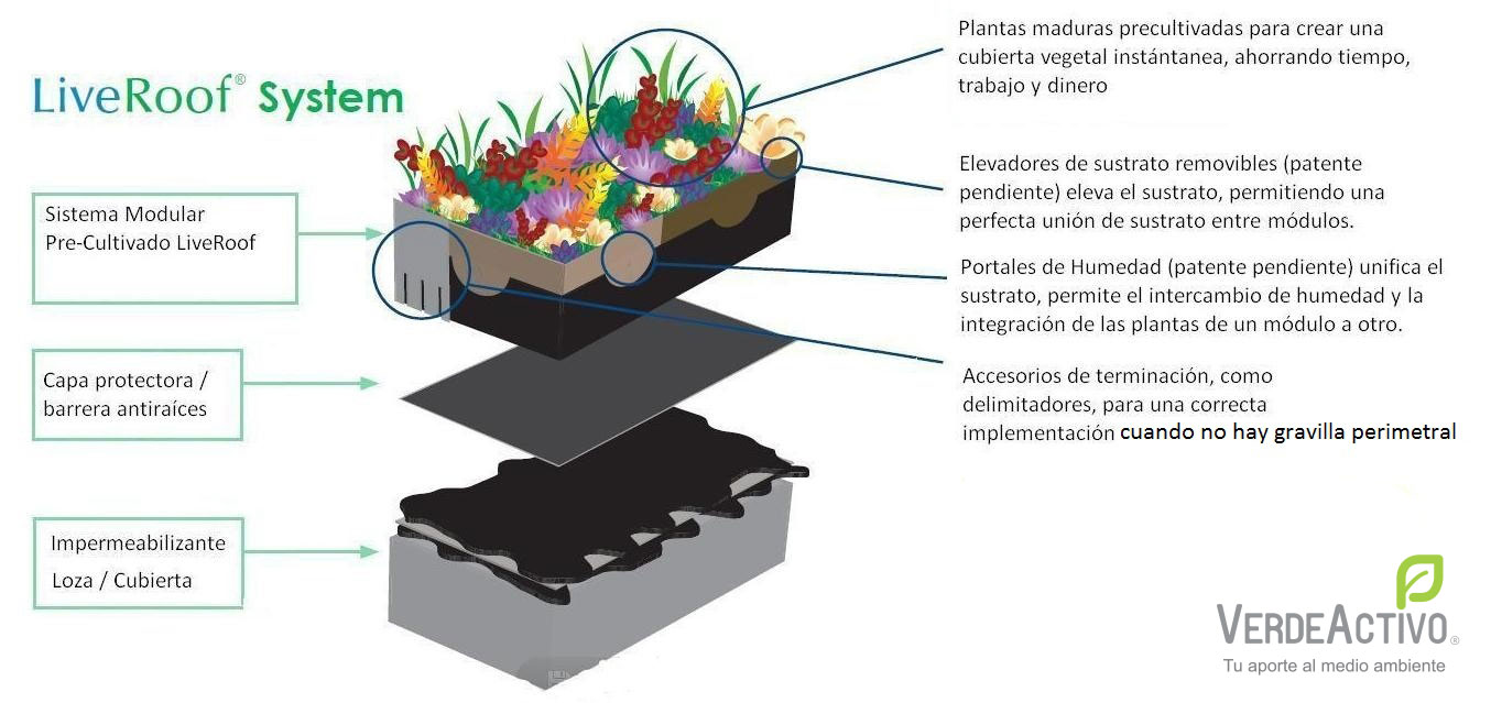 Sistema Modular Precultivado LiveRoof