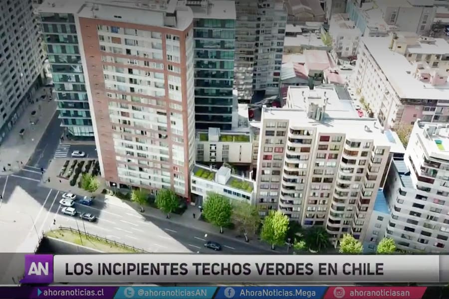 Azoteas: de gris a techos verdes, reportaje de Ahora Noticias Mega